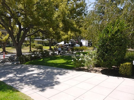 Enlarge photo 22