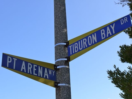 Tiburon Bay Drive