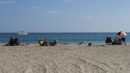 Enlarge photo 55