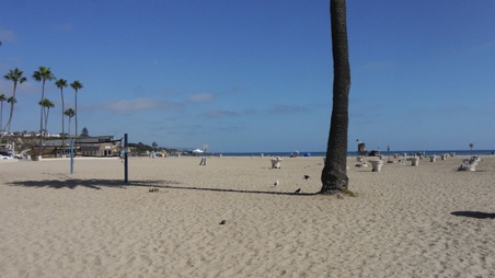 Enlarge photo 76