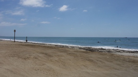 Enlarge photo 74