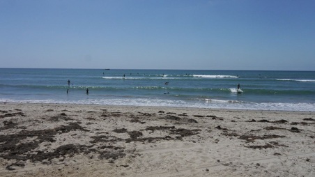 Enlarge photo 81