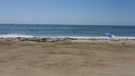 Enlarge photo 84