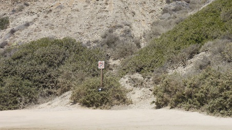 Enlarge photo 46
