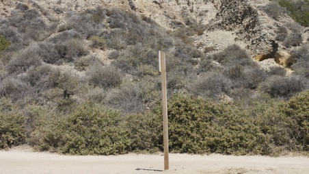 Enlarge photo 49