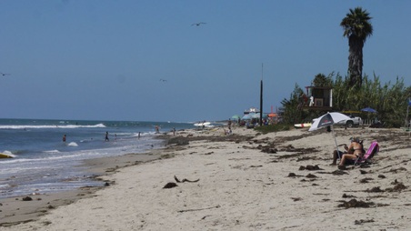 Enlarge photo 52