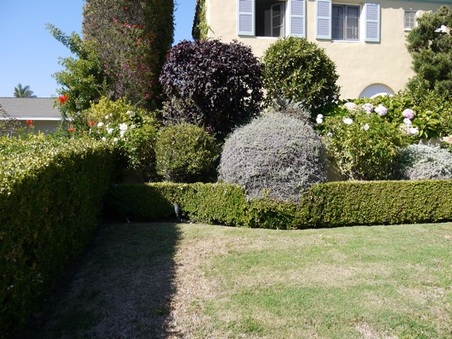 Enlarge photo 11