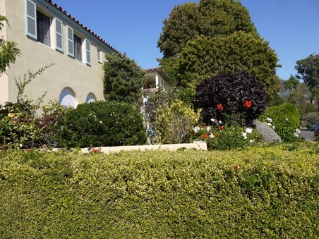 Enlarge photo 16
