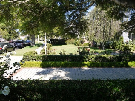 Enlarge photo 16