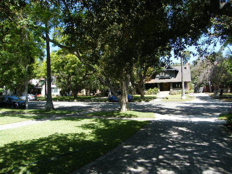 Enlarge photo 16