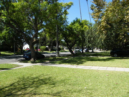 Enlarge photo 10