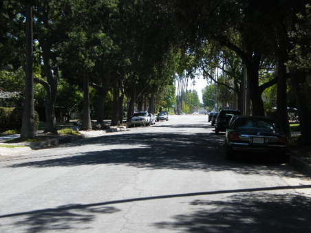 Enlarge photo 13