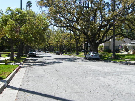 Enlarge photo 12