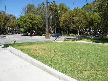 Enlarge photo 16