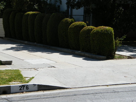 Enlarge photo 14