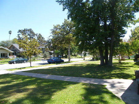 Enlarge photo 13