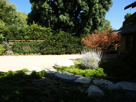 Enlarge photo 8