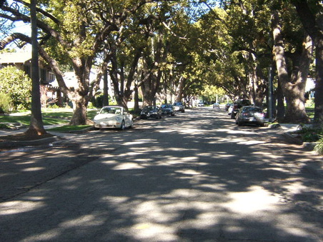 Enlarge photo 14