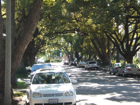 Enlarge photo 21
