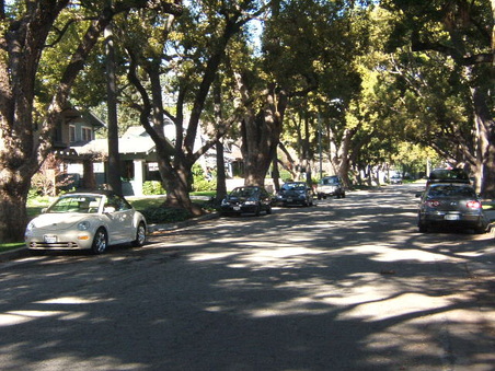Enlarge photo 22