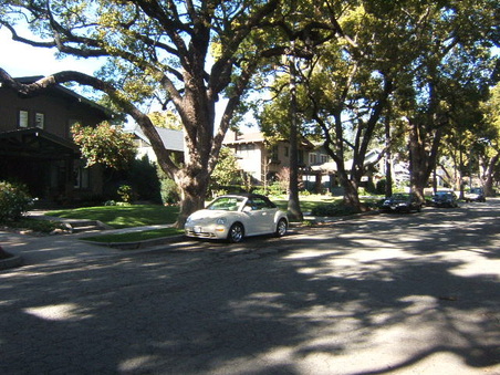 Enlarge photo 23