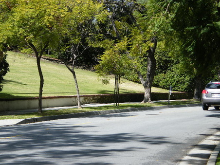 Enlarge photo 16
