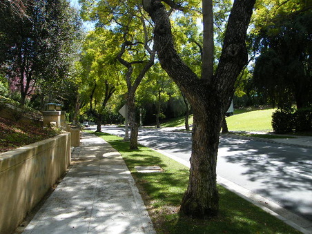 Enlarge photo 23