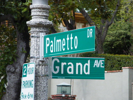 Palmetto