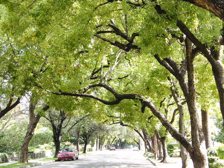 Enlarge photo 11