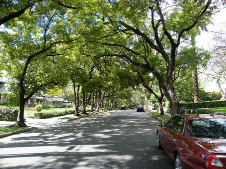 Enlarge photo 19