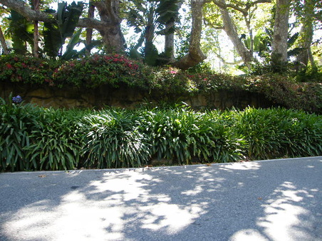 Bonsall Road