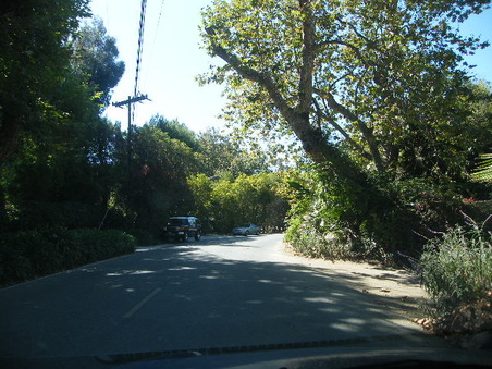 Enlarge photo 2