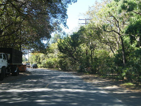 Enlarge photo 3