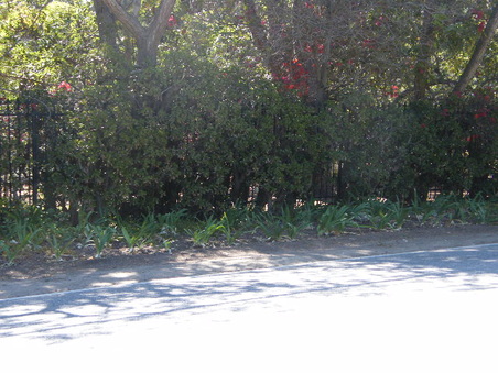 Enlarge photo 6