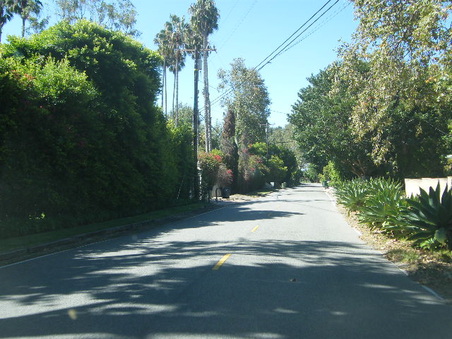 Enlarge photo 12