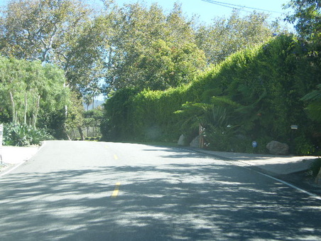 Enlarge photo 16