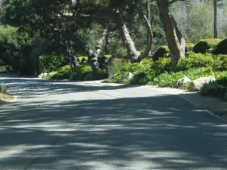 Enlarge photo 18
