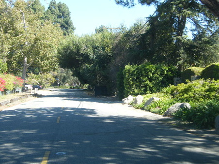 Enlarge photo 19