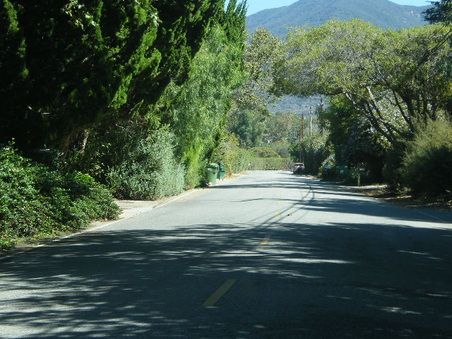 Enlarge photo 21