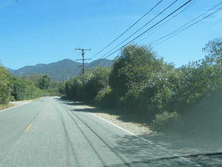 Enlarge photo 22