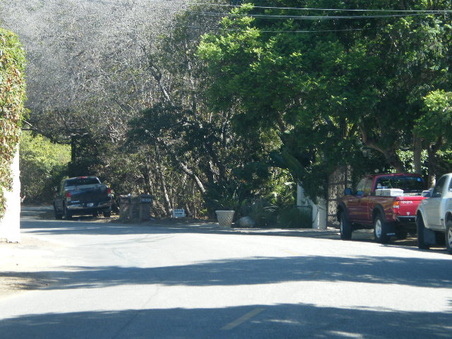 Enlarge photo 23