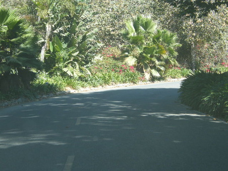 Enlarge photo 27