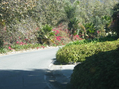 Enlarge photo 28
