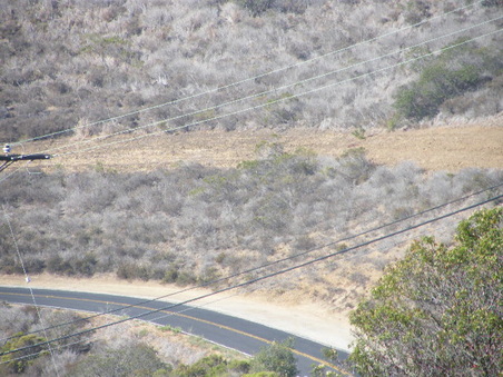 Enlarge photo 18