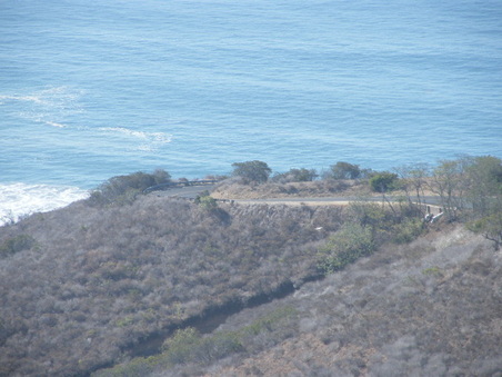 Enlarge photo 25