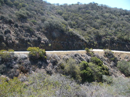 Enlarge photo 8