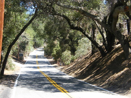 Enlarge photo 4