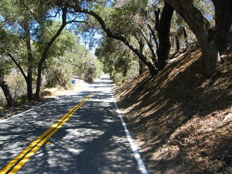 Enlarge photo 6