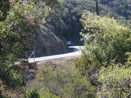 Enlarge photo 15