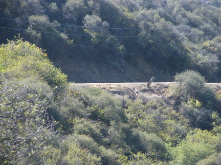 Enlarge photo 18